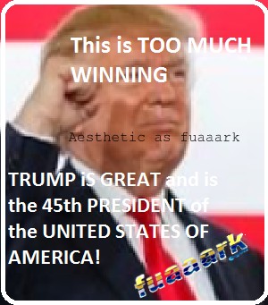 TRUMP the 45th PRESIDENT <br />
IS THIS REALLY OFFICIAL??? 